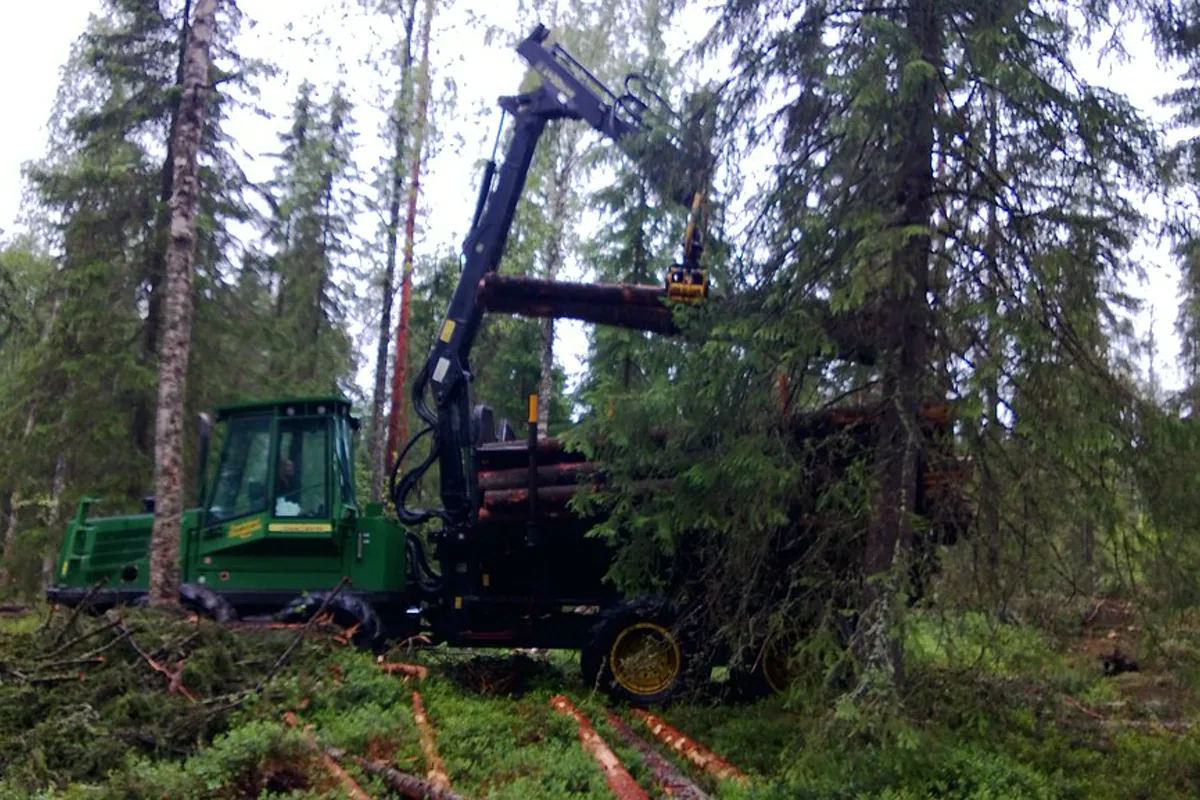 Forestry equipment working in dense woodland