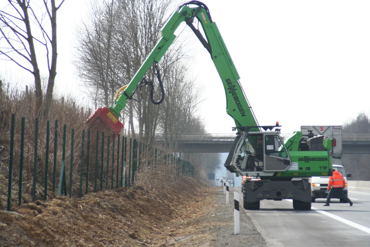 Forestry mulcher processing woody vegetation beside a tree line