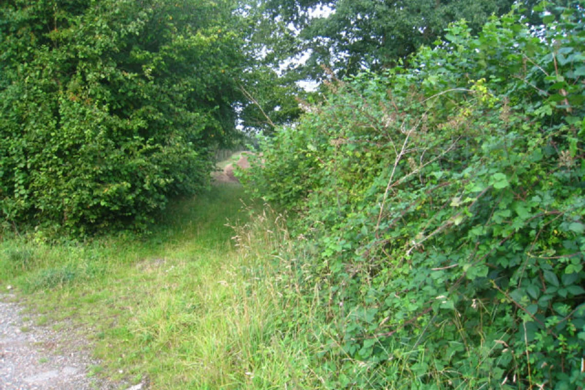 Wooded or rural property access representing land work near Goshen, IN